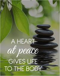 Best Wall Art or Book for Daily Happiness and Peace Quotes